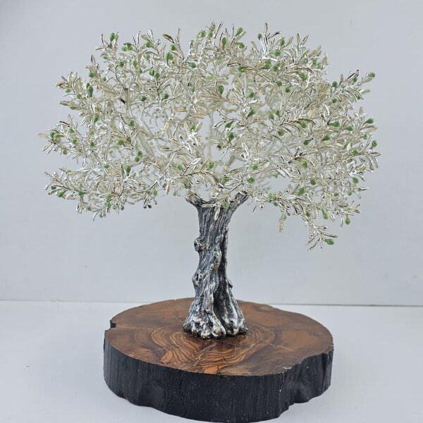 Olivo plateado 20x22