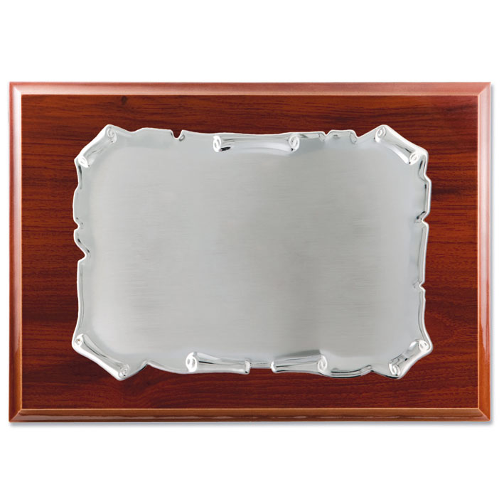 Placa homenaje metal plateado - 26x21cm 19x13cm