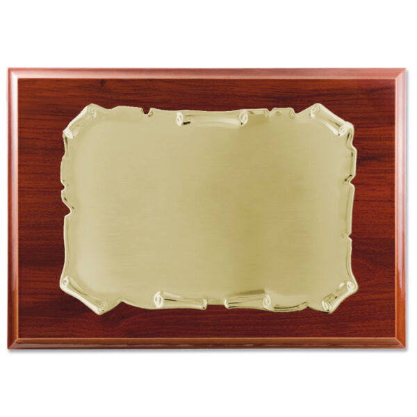 Placa homenaje metal plateado - 26x21cm 19x13cm
